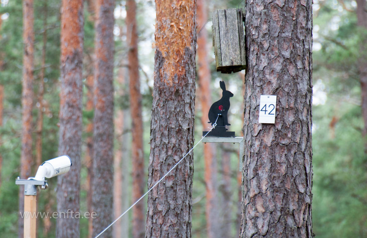 Some hits are recorded